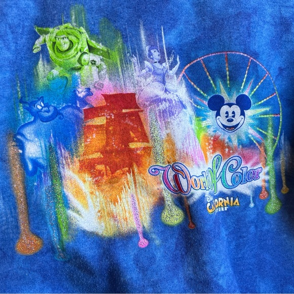 Disneyland Walt Disney World by Hanes World of Color zip up sweatshirt M - Picture 5 of 6